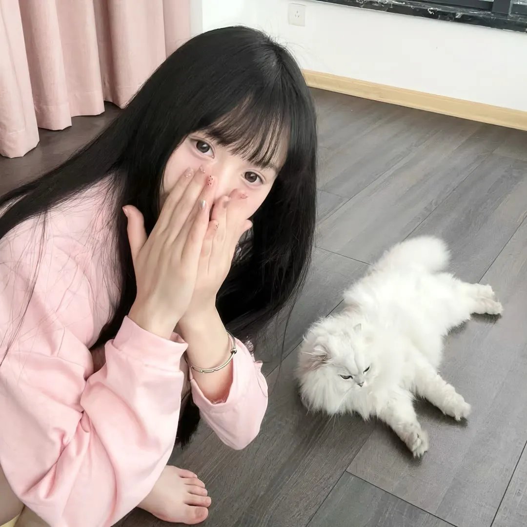 大明星醒目狗